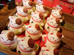 -猫咪博物馆(顶澳仔猫街店)