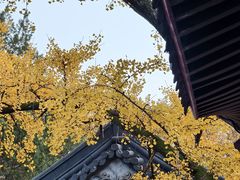 -灵谷景区