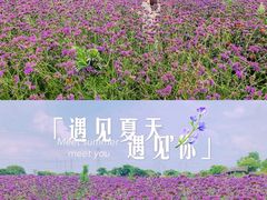 -上海杨姆庄园