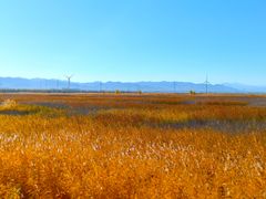 -野鸭湖国家湿地公园