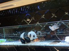 水产区-红辣椒·川菜·火锅(张杨路店)