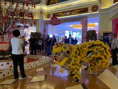 -江门新会碧桂园凤悦凤凰酒店(万达广场店)