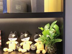 -梵猫·新养生(加州广场店)