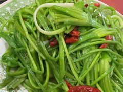 -菌之家·专业纯野生菌火锅·特色炒菌