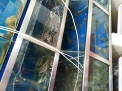 水产区-宾朋海鲜特色美食餐厅·纯手工鲅鱼水饺(兴海路店)