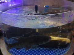 -四季厨房 鲁菜·孔府烤鸭(高新万达店)