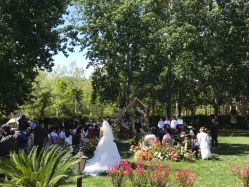 -醉库庄园·宴会厅·草坪婚礼场地