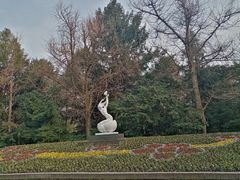 -杭州植物园