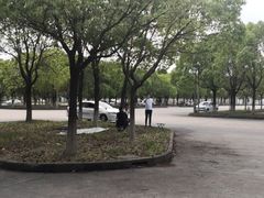 -安飞驰驾校·学车连锁(金高店)