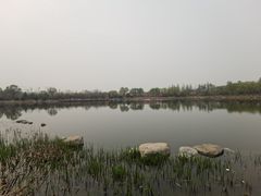-燕郊植物园