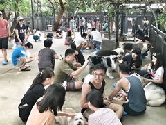 -TrueLove @ Neverland (Husky Cafe)