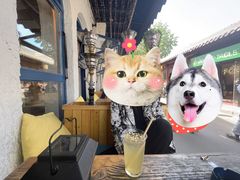 -Sirena海妖日咖夜酒