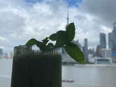 -上海和平饭店-华懋阁 The Cathay Room