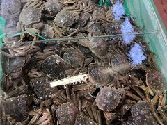 -锦绣大地批发市场-B座
