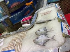 -欢乐海岸美食联盟