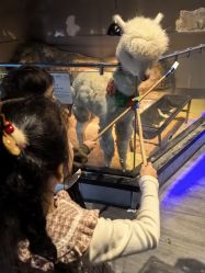 -未来动物城主题公园(正弘城店)