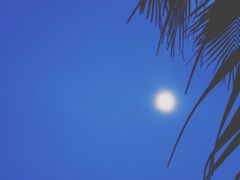 -霞山观海长廊