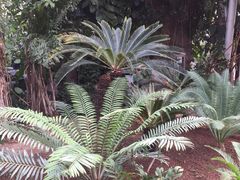 -北京植物园-展览温室