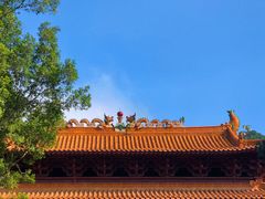-深圳仙湖植物园