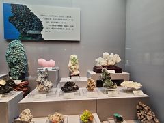-湖南省地质博物馆