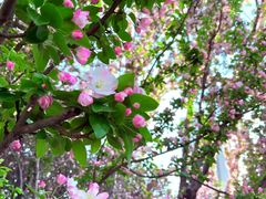 -唐山抗震纪念碑广场