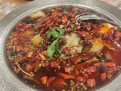 毛血旺-红菜坊·烤鸭·川鲁宴(石园店)
