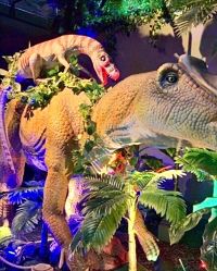 -恐龙探索乐园(磁器口店)