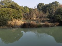 -八大山人梅湖景区