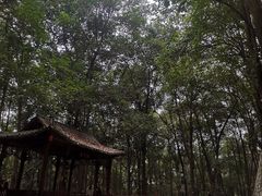 -三门江国家森林公园