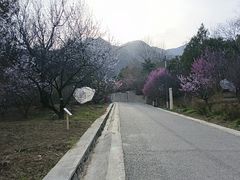 -北京鹫峰国家森林公园