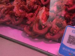 -马家老鸡店