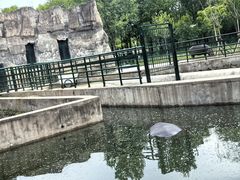 -哈尔滨北方森林动物园