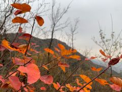 -香山公园