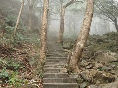 -梧桐山风景名胜区