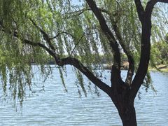 -美兰湖景区