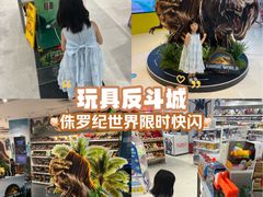 -TOYSRUS玩具反斗城(上海万象城店)