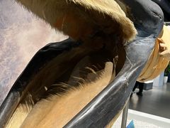 -生命奥秘博物馆