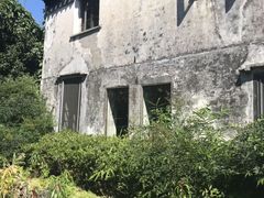 -田园东方蜜桃村的田野营地