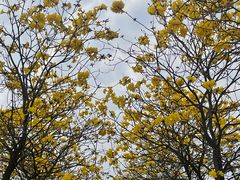 -露天矿生态公园