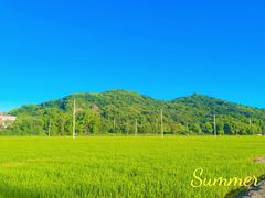 -上海佘山国家森林公园天马山园