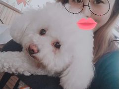 -万科美好广场