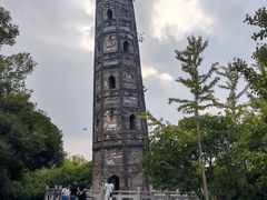 -上海佘山国家森林公园天马山园