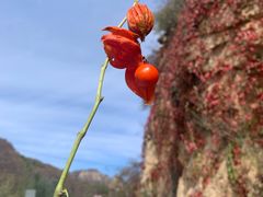 -百里山水画廊