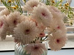 -双季花艺园艺市场(浦东店)