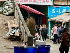 -西双版纳集贸市场