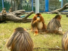 -大连森林动物园