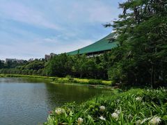 操场-厦门大学(思明校区)