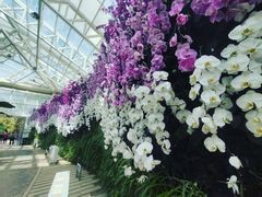 -石家庄市植物园