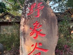 -野象谷景区