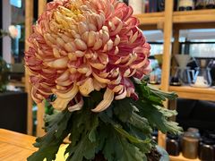 -JRCAFE玖如空间
